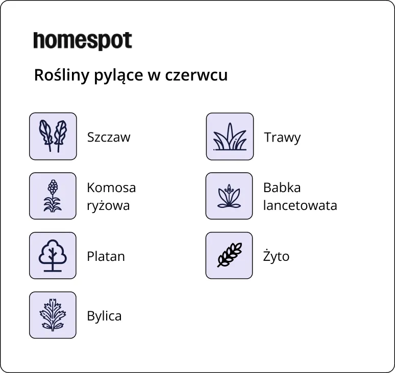 Co pyli w czerwcu