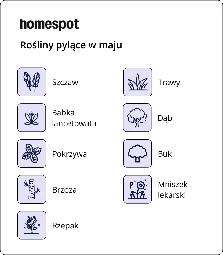 Co puli w maju