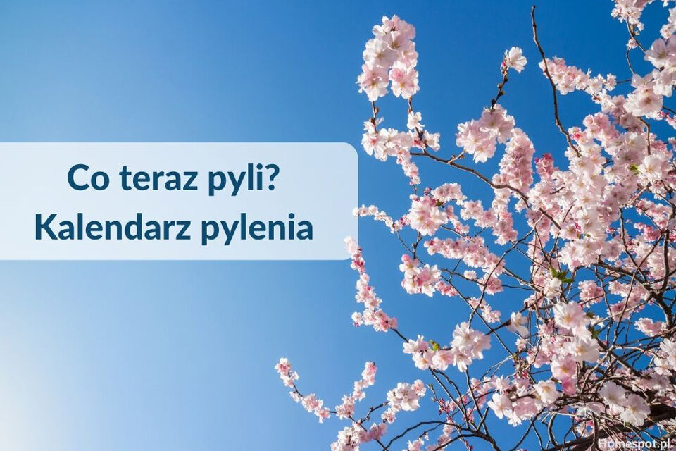 Drzewo z kwiatami