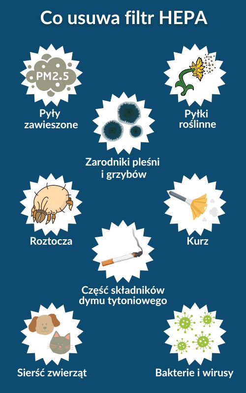 Smog - infografika