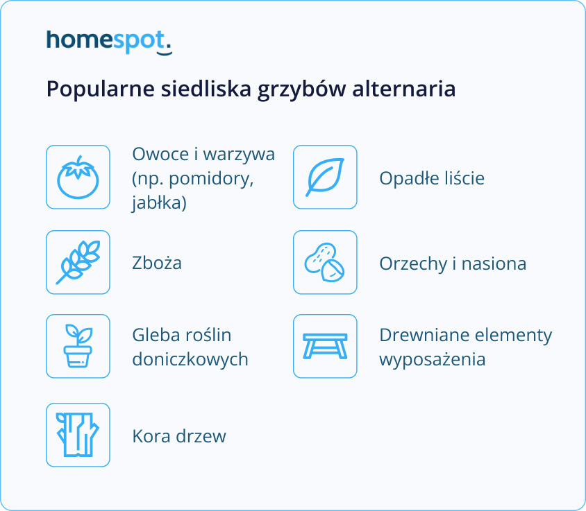 Popularne siedliska grzybów - infografika
