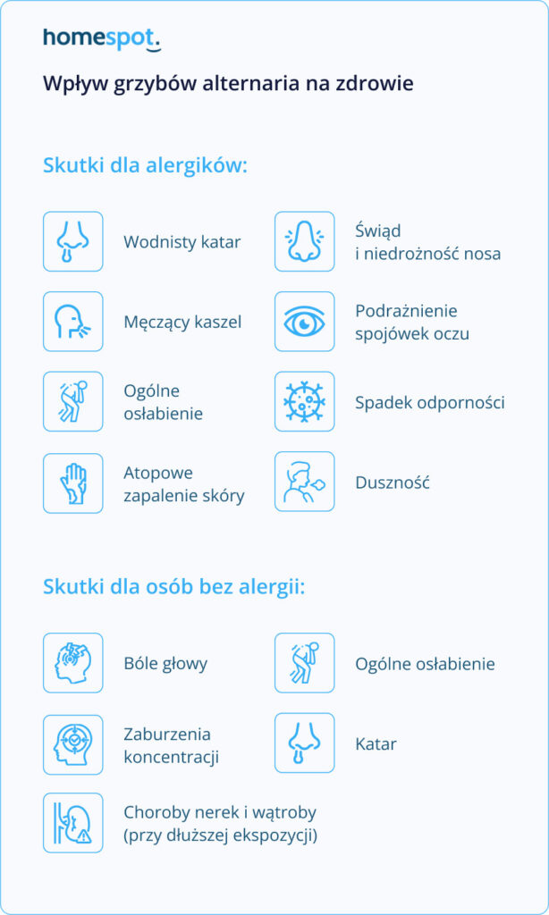 Wpływ grzybów na zdrowie - infografika
