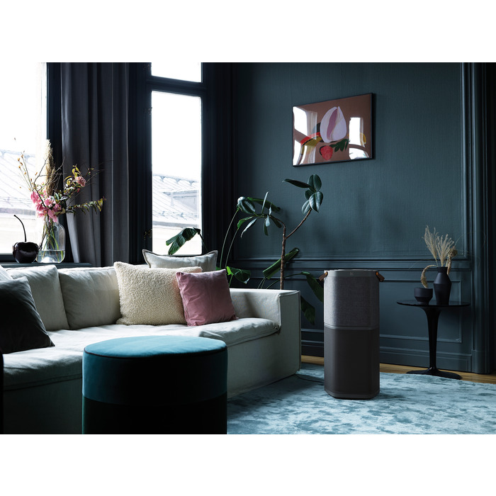 Electrolux PA91-604DG w salonie