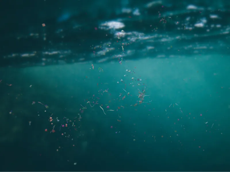 Mikroplastik w wodzie. Zdjęcia pod wodą
