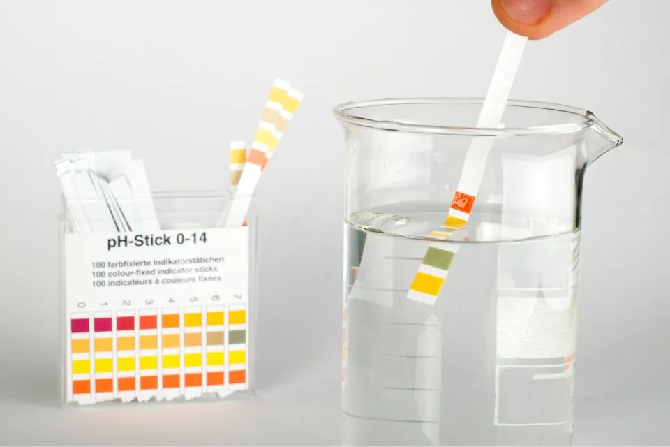 test ph wody